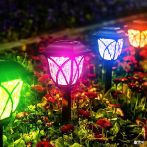 6 pk RGB Solar Pathway Lights with changing color