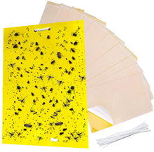 6 x 8" Yellow Sticky Traps for Flying Plant Insects Flies Gnats Whiteflies Aphids Pests - 20 pks