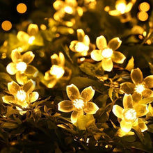 23" 30 LED Solar Sakura Flower String Lights - Warm Color
