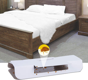 Bed Bug Trap, Bed Bug Detector Indoor, Traps for Bed Bug NO Pesticides Poison Safe - 24 pks
