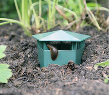 Green Slug Snail Trap - 4 pcs