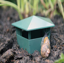 Green Slug Snail Trap - 4 pcs
