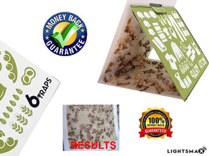 Pantry Indian Mean Moth Sticky Traps No Poison Eco Friendly Safe - 5 pks